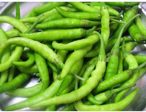 Natural Green Chilli, Packaging Type : Pp Bag
