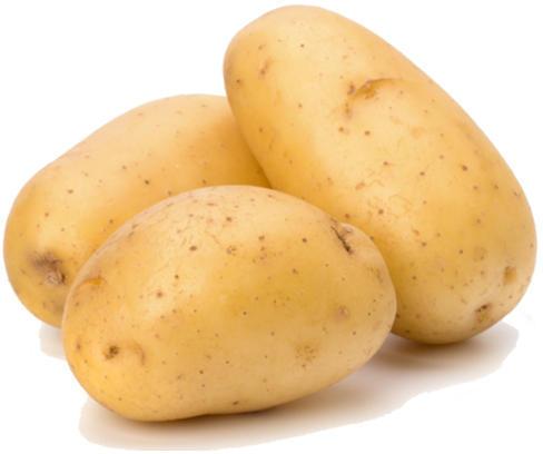 Organic Natural Potato, Shelf Life : 3 Months