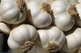 Organic Natural White Garlic, for Cooking, Fast Food, Packaging Type : Plastic Bags