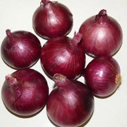 Organic Onion