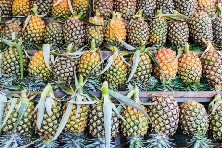 Organic Sweet Pineapple, for Food, Juice, Snacks