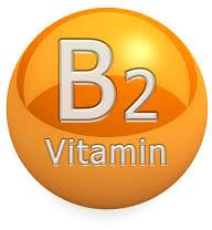 Vitamin B2 Supplement