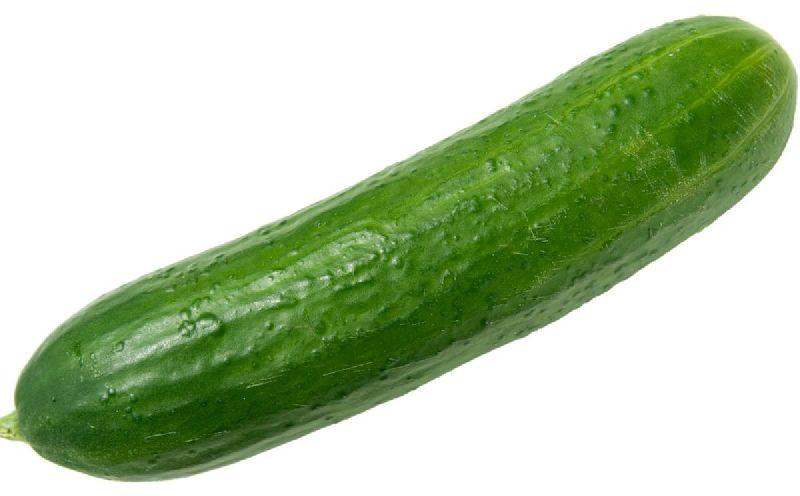 fresh cucumber