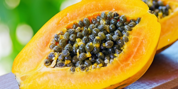 Organic Fresh Papaya, Feature : Good Supplying Of Vitamins, Good Taste, Healthy