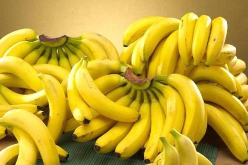 Organic Dwarf Cavendish Banana