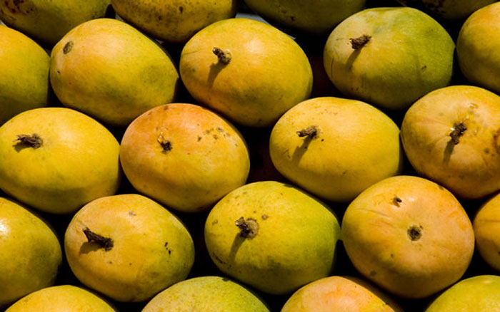 Organic fresh mango, Packaging Size : 20-30kg, 30-40kg, Etc