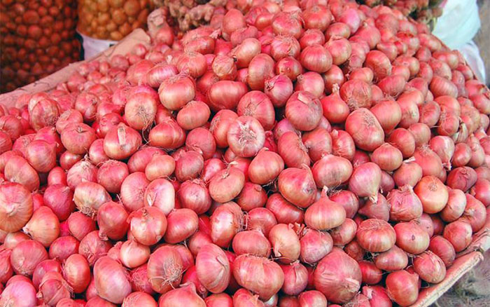 Natural fresh red onion, for Cooking, Feature : Freshness, High Quality, Hygienic