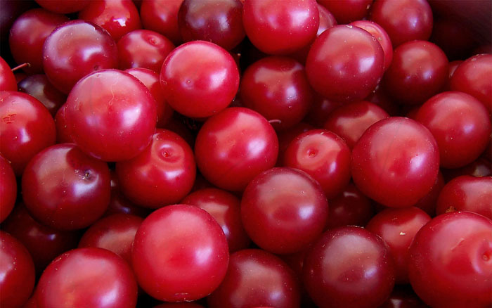 Fresh Plums, Color : Red