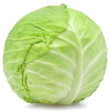 Organic Green Cabbage, for Pesticide Free