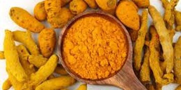 Natural organic turmeric, Shelf Life : 1years