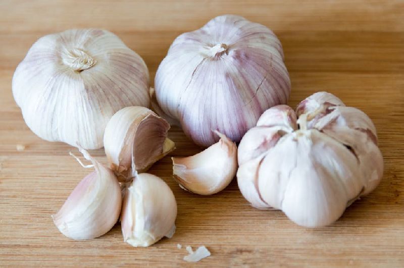 Organic fresh garlic, Packaging Type : Gunny Bags, Plastic Bags