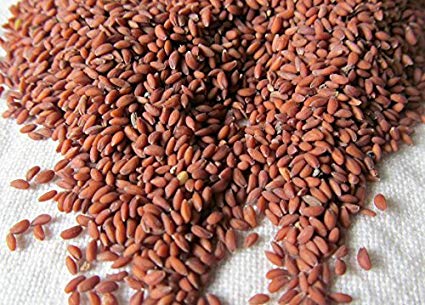 halim seeds