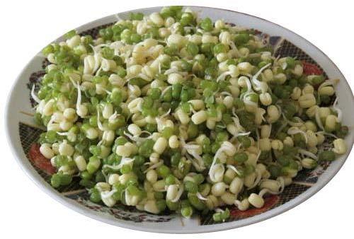 freeze dried sprouts