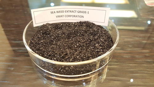 Seaweed Extract, Grade : Agriculture Grade