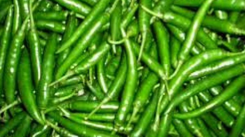 green chili