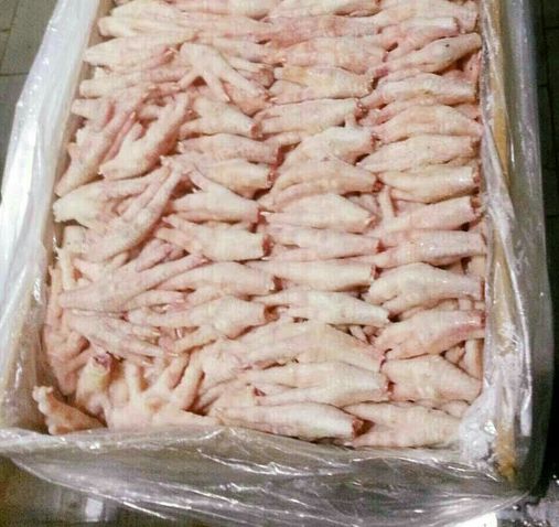 Frozen Chicken Feet, Feature : Low Fat, Nutritious