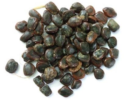 PDS Spices Raw Tamarind Seeds, Packaging Type : Packet