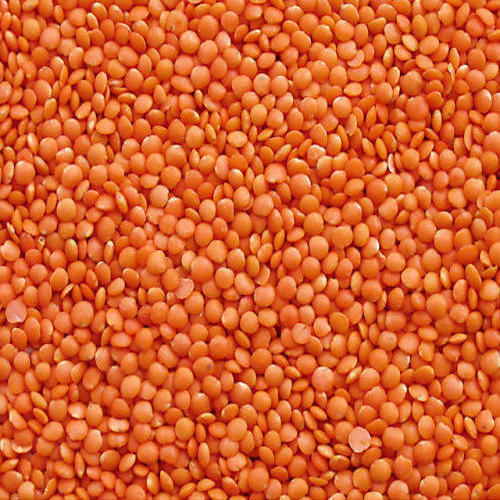 Common masoor dal