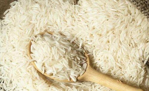 Hard Organic 1509 Basmati Rice, for Human Consumption, Variety : Medium Grain