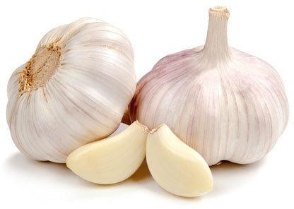 Fresh garlic, for Cooking, Fast Food, Snacks, Style : Solid