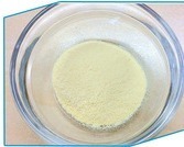 Bifidobacterium Longum, Form : Powder