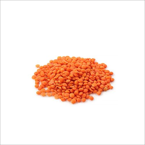 Common masoor dal, for Cooking, Human Consumption, Feature : Healthy To Eat