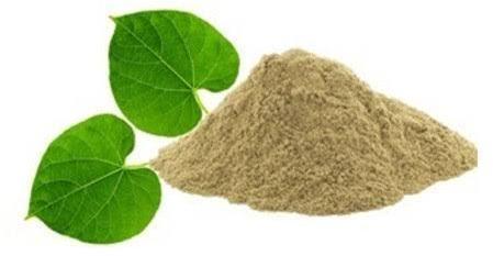 Giloy Powder, Purity : 100%