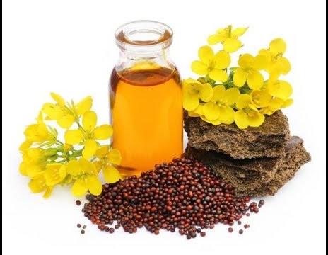 Black Mustard Seed Oil
