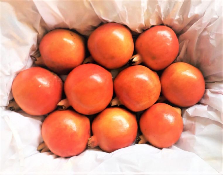 NUVRI Natural Organic Pomegranate, For Making Juice, Packaging Size : 2.5-3.5 Kg