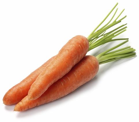 Fresh Carrot