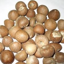 Organic Betel Nut, Packaging Type : Plastic Bag