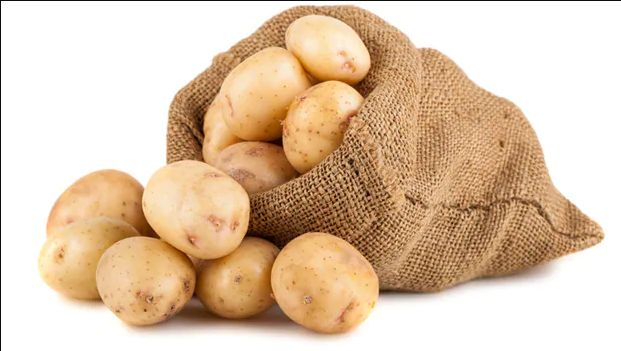 Organic fresh potato, Shelf Life : 15-25 Days