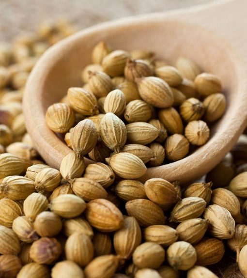 coriander seeds