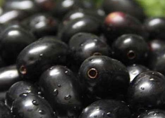 Organic Fresh Black Plum