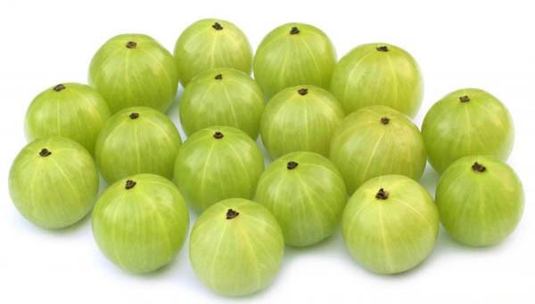 Organic Fresh Green Gooseberry, for Hair Oil, Murabba, Skin Products, Etc, Packaging Size : 5-20kg