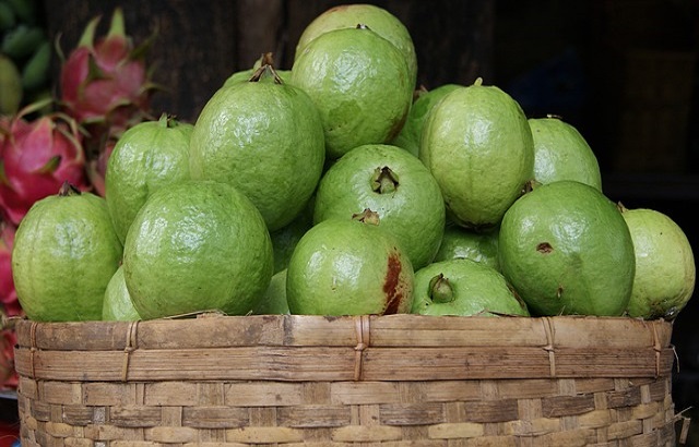 Organic Fresh Guava, Packaging Size : 20-30KG