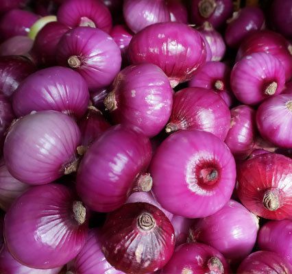 Organic Fresh Pink Onion, for Enhance The Flavour, Human Consumption, Feature : High nutritional value