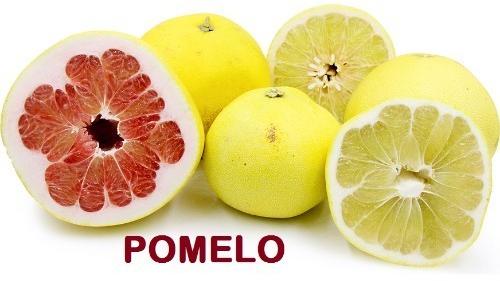 Fresh Pomelo, Quality Available : A Grade, B Grade