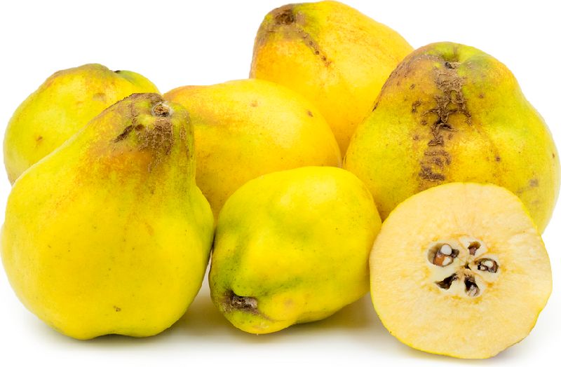 Fresh Quince at Rs 120 / Kilogram in Delhi Stepcraft