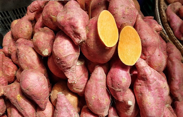Fresh Sweet Potato, Packaging Type : Jute Bag