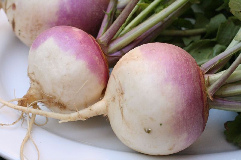 Fresh Turnip