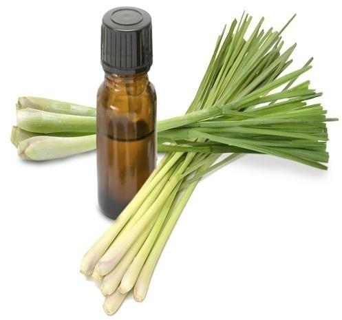 Organic Natural Lemongrass Oil, for Flavouring Tea, Reduce Body Aches, Packaging Type : Glass Bottels