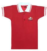 Plain Cotton School T-Shirt, Sleeve Type : Half Sleeves