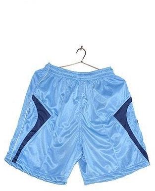 Mens Polyester Sports Shorts, Color : Blue