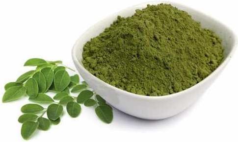 Moringa Extract Powder, for Cosmetics, Medicines Products, Packaging Type : Plastic Packet