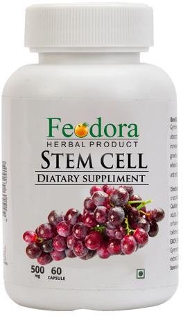 Stem Cell Capsules