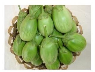 Green Round Brinjal Seeds