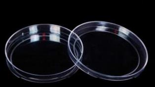 PMS Glass Petri Dish, Size : 10inch, 11inch, 12inch