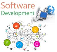 Software Development Consultancy in Punjab