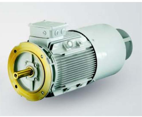 Brake Motors, Power : 300 kW